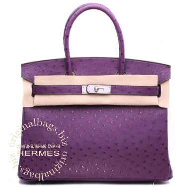 Hermes Birkin 30 Violine