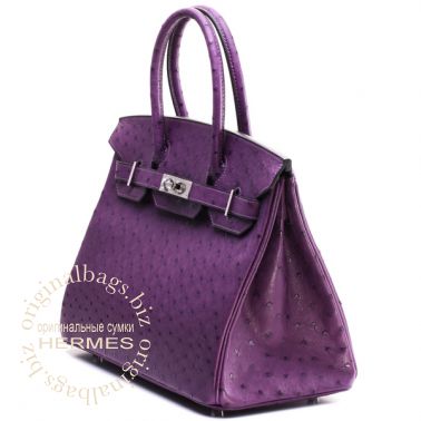 Hermes Birkin 30 Violine