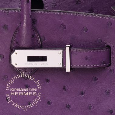 Hermes Birkin 30 Violine