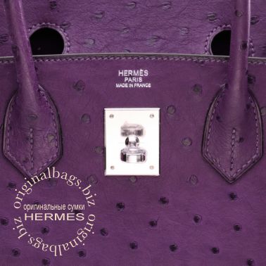 Hermes Birkin 30 Violine